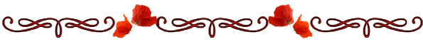(595x62, 33Kb)