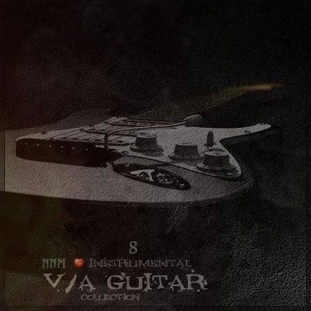 VA - Guitar Collection 8