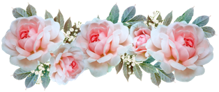 flowers-4737698__480 